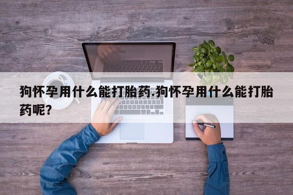 米非司酮购买渠道微信狗怀孕用什么能打胎药.狗怀孕用什么能打胎药呢？