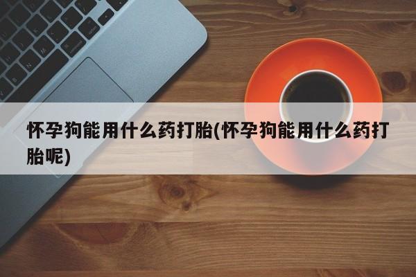 米非司酮购买渠道微信怀孕狗能用什么药打胎(怀孕狗能用什么药打胎呢)